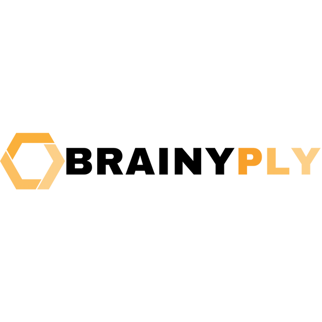Brainyply